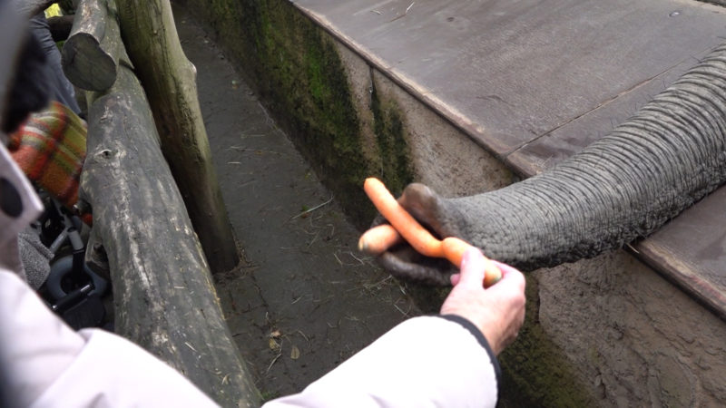 Zoo für Demenzkranke (Foto: SAT.1 NRW)