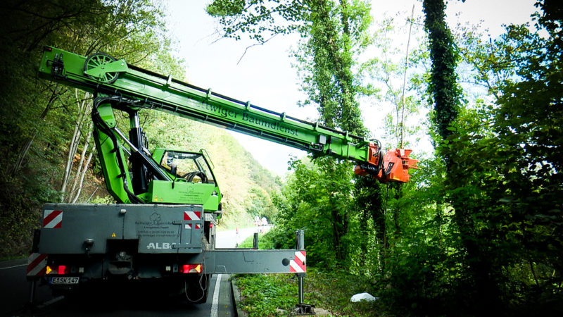 Folgen des Hitzesommers (Foto: SAT.1 NRW)