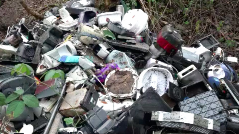 Ennepetal reinigt Müll-Wald (Foto: SAT.1 NRW)