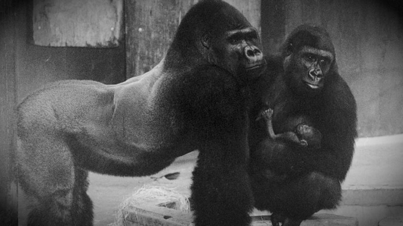 Mahnwache vorm Zoo Krefeld (Foto: SAT.1 NRW)