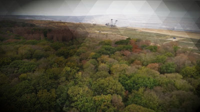 Aufmarsch im Hambacher Forst (Foto: SAT.1 NRW)