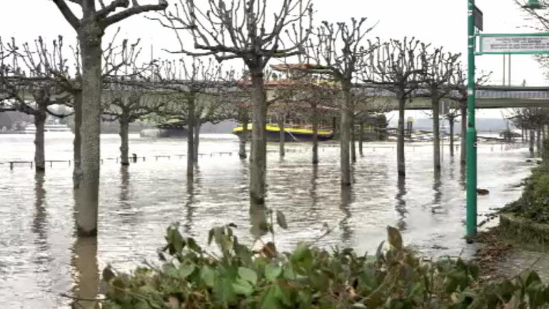 Rhein bei Köln und Bonn erreicht Höchststand (Foto: SAT.1 NRW)