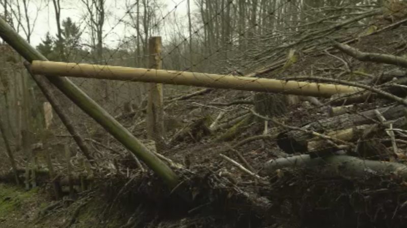 Wildpark zerstört (Foto: SAT.1 NRW)