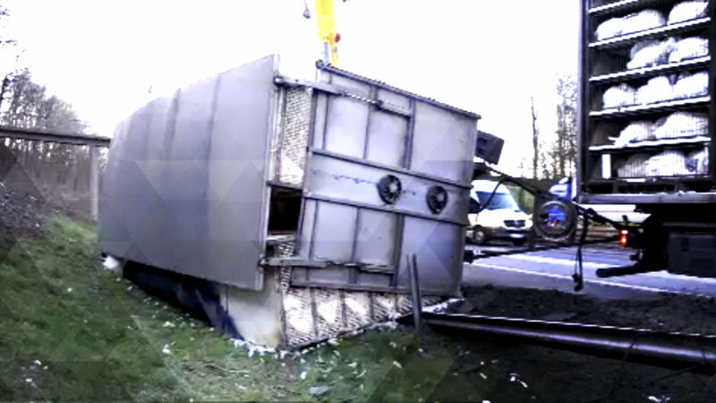 Tiertransporter umgekippt (Foto: SAT.1 NRW)