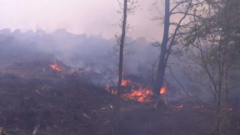 Waldbrand in Gummersbach (Foto: SAT.1 NRW)