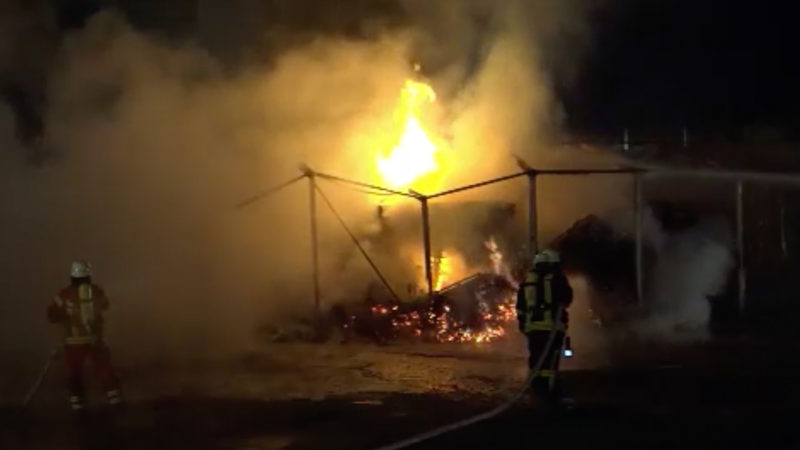 Feuerteufel im Sauerland? (Foto: SAT.1 NRW)