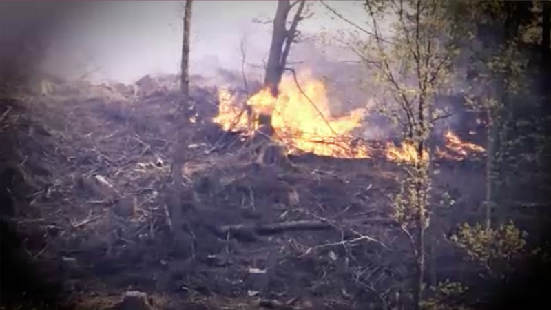 Wälder in NRW brennen (Foto: SAT.1 NRW)