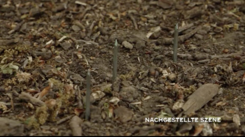 Nagelfalle auf Mountainbike-Strecke (Foto: SAT.1 NRW)