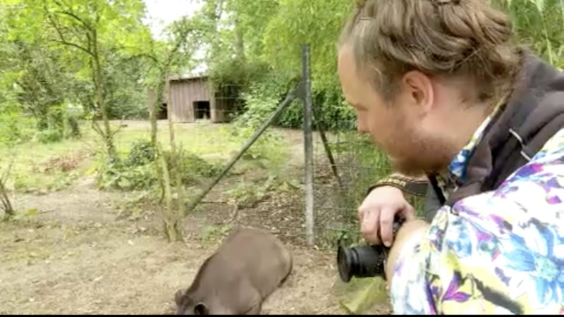 Tapir wird zum Shooting-Star (Foto: SAT.1 NRW)