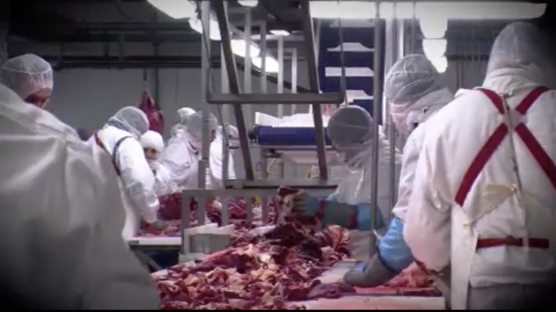 Neue Regeln für die Fleischindustrie (Foto: SAT.1 NRW)