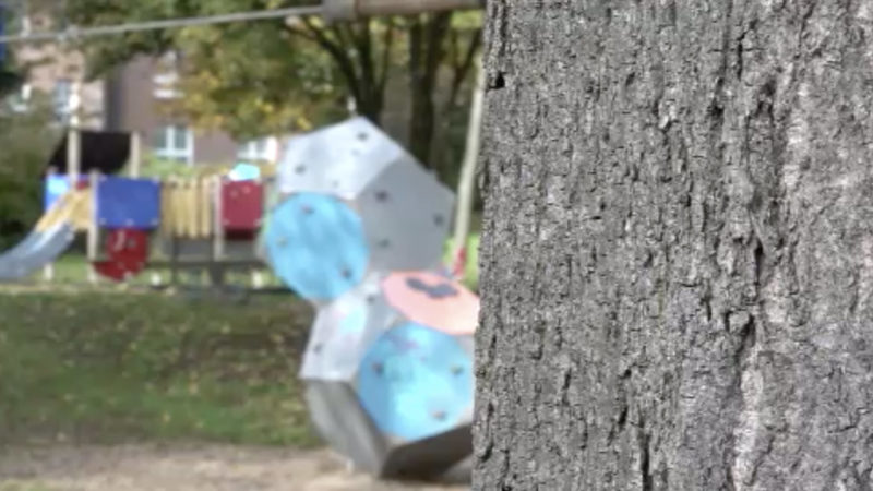 Neue Verdächtige im Missbrauchsfall Bergisch Gladbach (Foto: SAT.1 NRW)