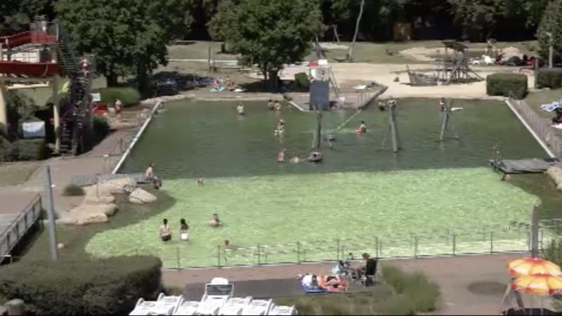 Viel Platz im Freibad zur Corona-Zeit (Foto: SAT.1 NRW)