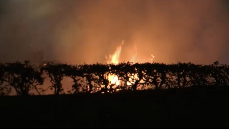 Feuer im Biergarten (Foto: SAT.1 NRW)