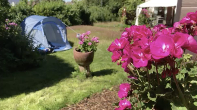 Kurzurlaub im Garten (Foto: SAT.1 NRW)