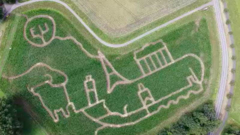 Landwirt mäht Europa-Kunstwerk (Foto: SAT.1 NRW)