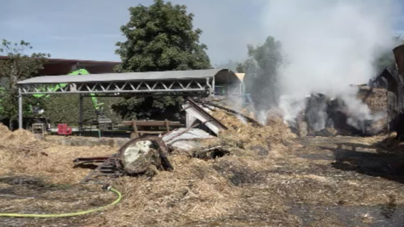 Pferde sterben bei Großbrand in Reitstall (Foto: SAT.1 NRW)