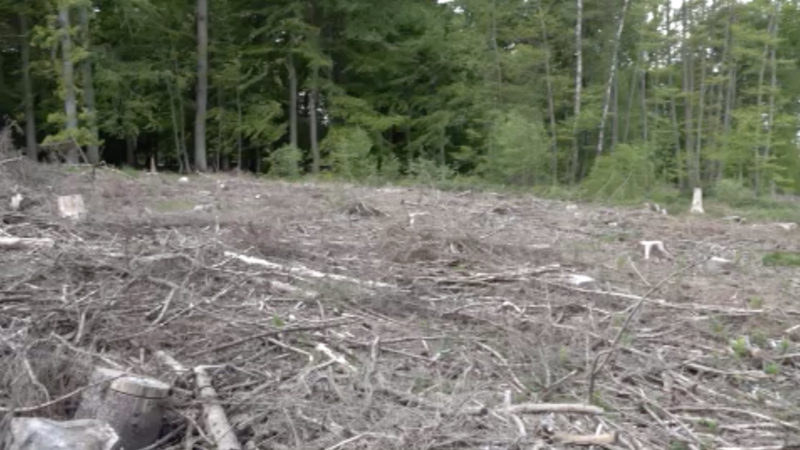 Trockene Böden in NRW (Foto: SAT.1 NRW)