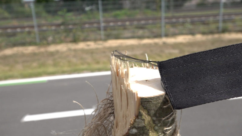 Unbekannte fällen Bäume an neuem Radweg (Foto: SAT.1 NRW)