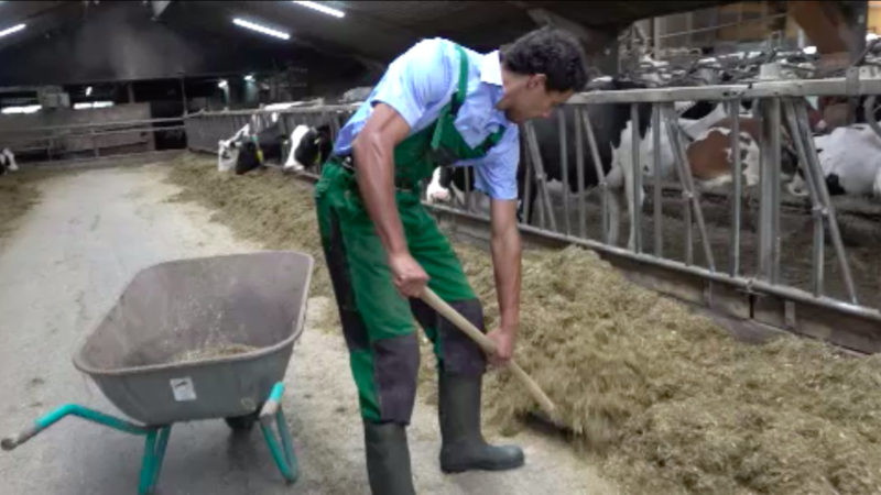 Landwirte suchen Nachfolger (Foto: SAT.1 NRW)