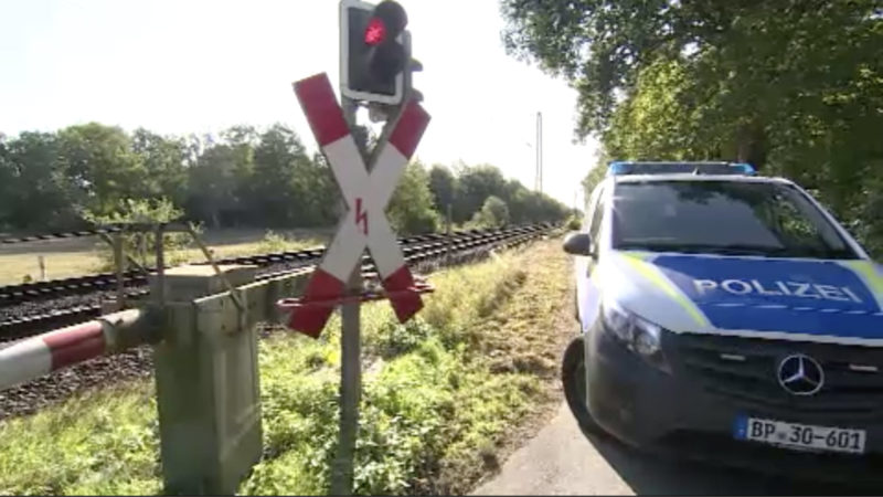 Zug erfasst Schafherde (Foto: SAT.1 NRW)