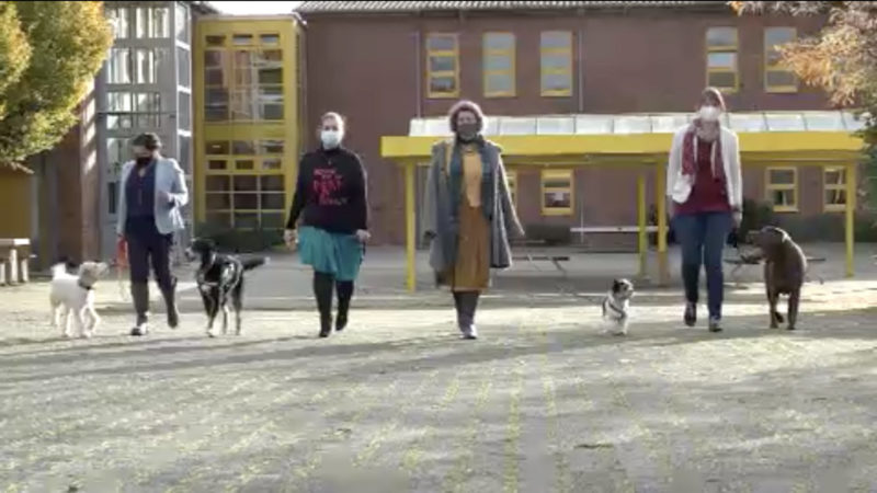 Therapiehunde helfen in der Schule (Foto: SAT.1 NRW)