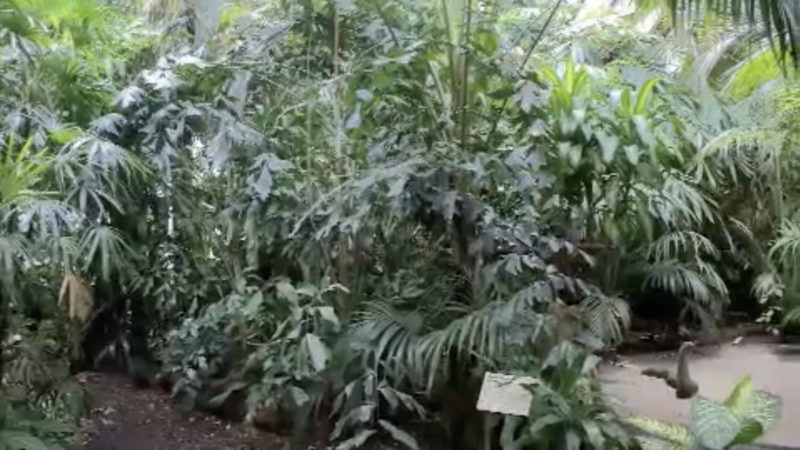 Tropenhalle für den Zoo Münster (Foto: SAT.1 NRW)