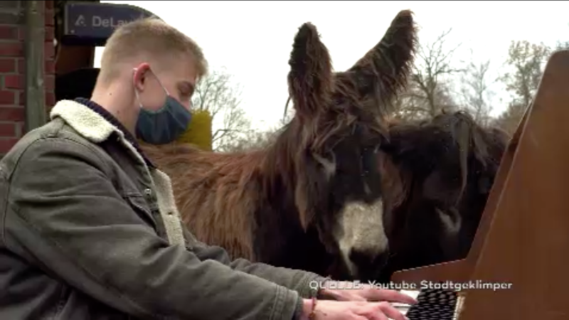 Klavierkonzerte im Zoo (Foto: SAT.1 NRW)