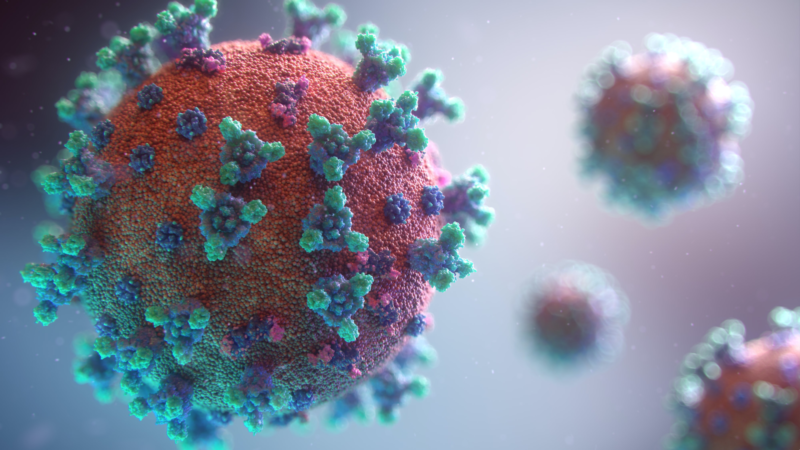 Neue Studie zu Corona-Mutationen (Foto: SAT.1 NRW)