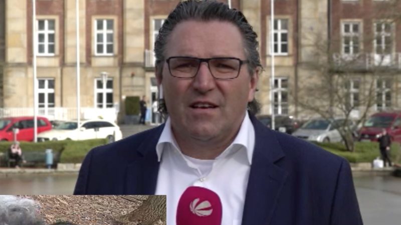 Interview mit Virologe Stephan Ludwig über die Schulöffnung (Foto: SAT.1 NRW)