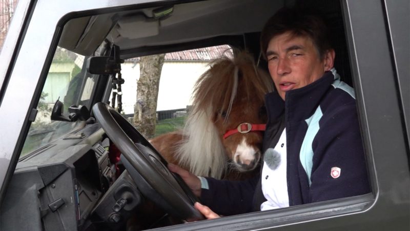 Mini-Pony als Beifahrer (Foto: SAT.1 NRW)