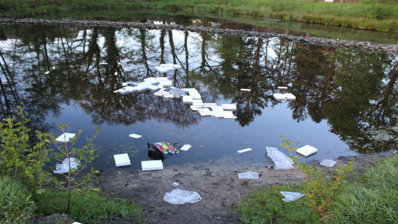 Diebe versenken iPads in See (Foto: SAT.1 NRW)