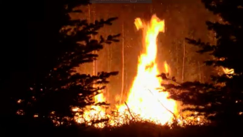 Erster grosser Waldbrand (Foto: SAT.1 NRW)