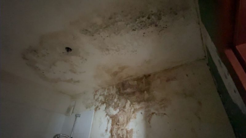 Mieter-Horror: Schimmelwohnung (Foto: SAT.1 NRW)