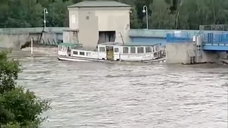 Moornixe aus Wasser geborgen (Foto: SAT.1 NRW)