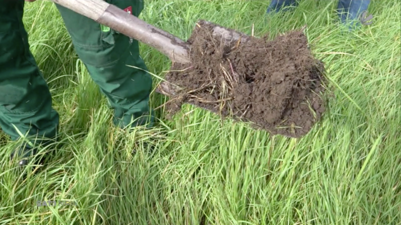 Flut macht Acker kaputt (Foto: SAT.1 NRW)