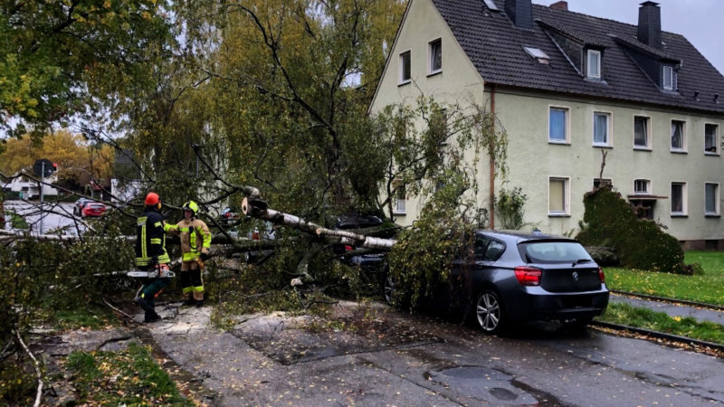 Sturmauswirkungen in NRW (Foto: SAT.1 NRW)