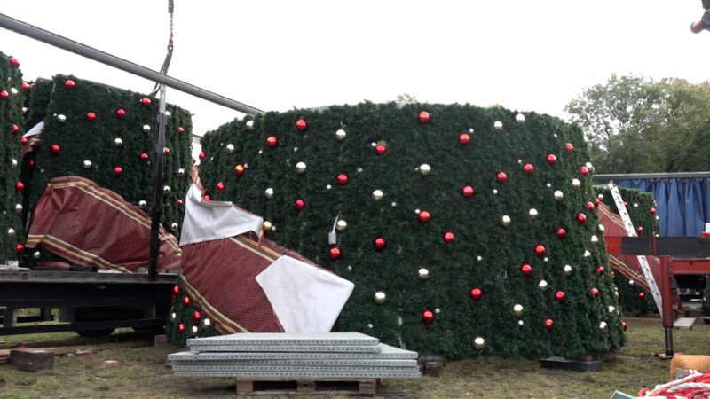 Größter Weihnachtsbaum der Welt (Foto: SAT.1 NRW)