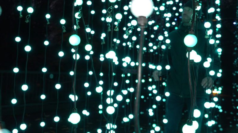 Weihnachtliche Lichter im Zoo (Foto: SAT.1 NRW)
