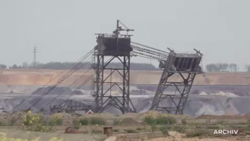 RWE: Keine Rodung in Lützerath (Foto: SAT.1 NRW)