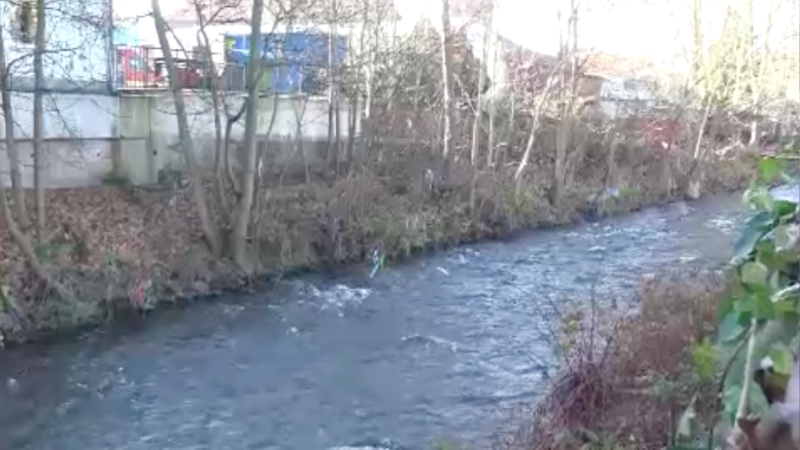 Wasserleiche identifiziert (Foto: SAT.1 NRW)