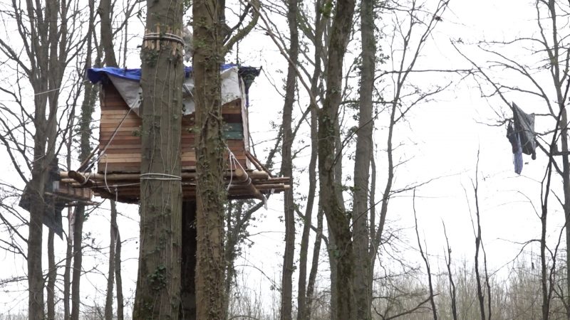 Räumung Osterholzwald (Foto: SAT.1 NRW)