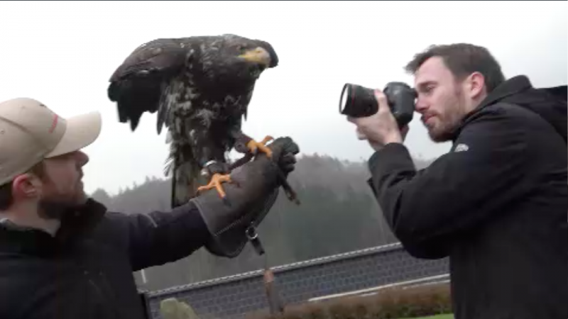 Sensationelle Bilder von Adlerfilmer (Foto: SAT.1 NRW)