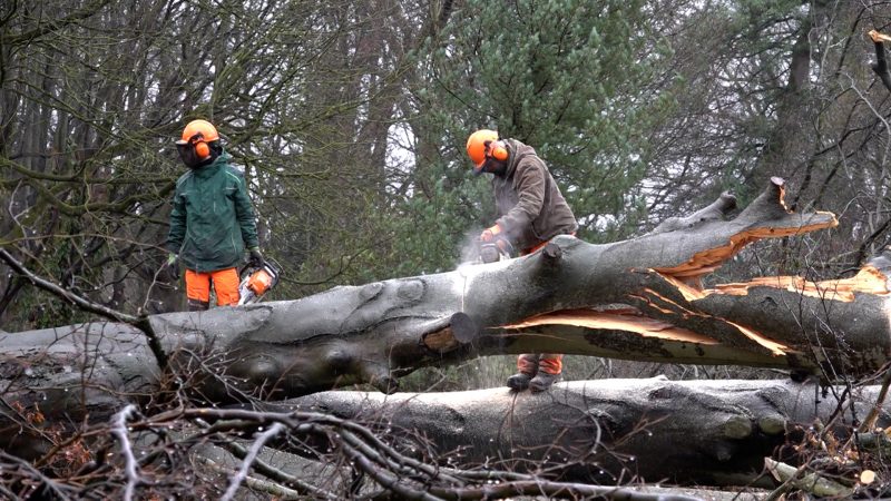 Aufräumen nach dem Sturm-Chaos (Foto: SAT.1 NRW)