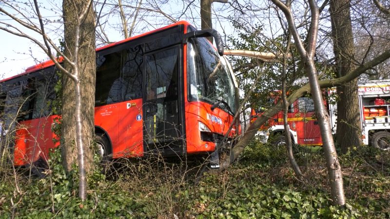 Zwei Unfälle mit Linienbussen (Foto: SAT.1 NRW)