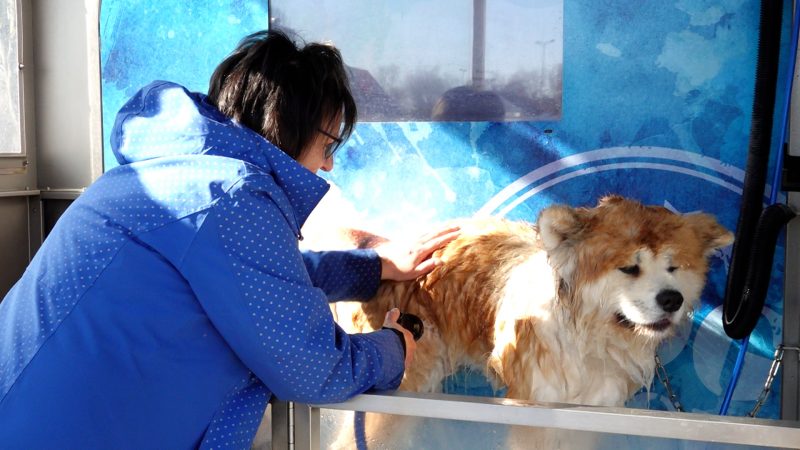 Hundewaschanlage (Foto: SAT.1 NRW)