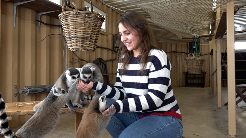 Babyboom im Safariland (Foto: SAT.1 NRW)