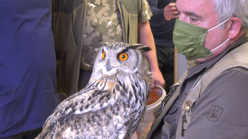 Uhu beim Zahnarzt (Foto: SAT.1 NRW)