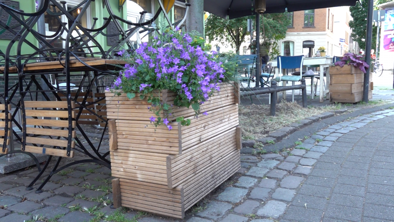 Streit um Blumenkübel in Köln (Foto: SAT.1 NRW)