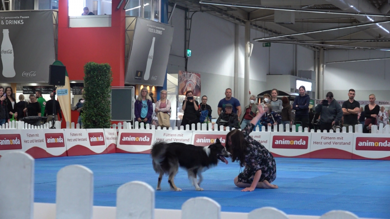 Deutsche Dogdancing Meisterschaft (Foto: SAT.1 NRW)