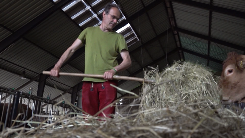 Landwirt klagt gegen VW (Foto: SAT.1 NRW)